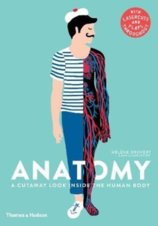 Anatomy