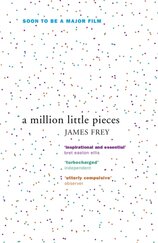 A Million Little Pieces
