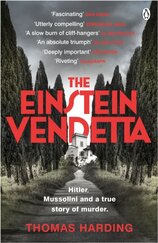 The Einstein Vendetta