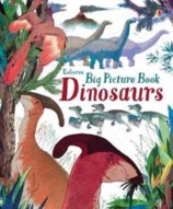 Big Picture Book Dinosaurs