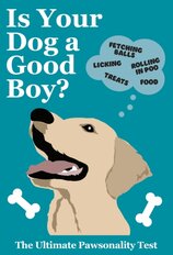 Is Your Dog A Good Boy