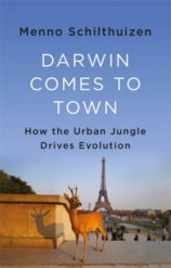 Darwin Comes to Town