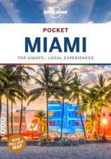 Pocket Miami