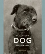 Really Good Dog Photography