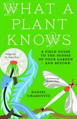 What a Plant Knows