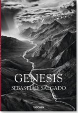 Salgado, Genesis