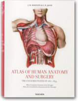 Atlas Anatomy Bourgery 25 fp