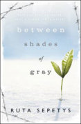 Between Shades of Gray