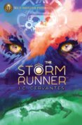 The Storm Runner