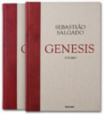 Salgado Genesis su