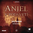 Audiokniha Anjel v podsvetí (Barbarič a Stein 7)