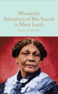 The Wonderful Adventures Of Mrs Seacole In Many Lands