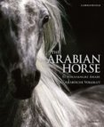 Arabian Horse