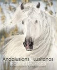 Andalusians & Lusitanos - Iberian Horses