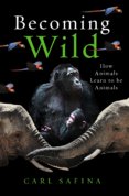 Becoming Wild
