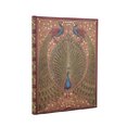 D2026/27 Hafiz´s Peacocks Ultra VER