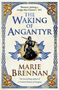 The Waking of Angantyr