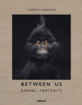 Between Us : Animal Portraits