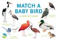 Match a Baby Bird