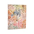 D2026 Anemone Ultra BUSINESS