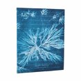 Sea Flowers Ultra Unlined