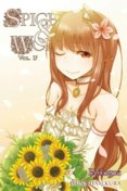 Spice And Wolf 17 Novel