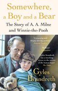 Somewhere, a Boy and a Bear