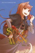 Spice And Wolf 14 Novel