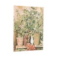 D2025/26 Cezanne Midi HOR