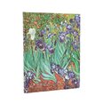 D2025/26 Van Gogh´s Irises Ultra VER