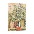 D2026 Cezanne Mini VERSO