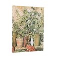 D2026 Cezanne Midi DAY