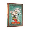 D2026 Asterix the Gaul Midi HOR