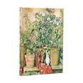 D2027 Cezanne Mini VERSO