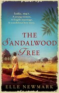 Sandalwood Tree