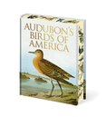Audubon's Birds of America