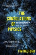 The Consolations of Physics