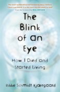 The Blink of an Eye