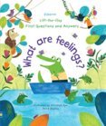 Lift-the-Flap First Questions and Answers What are feelings