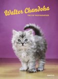 Walter Chandoha: The Cat Photographer