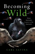 Becoming Wild : How Animals Learn to be Animals