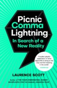 Picnic Comma Lightning