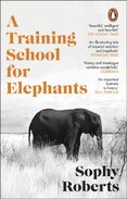A Training School for Elephants