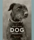 Really Good Dog Photography