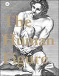 Human Figure