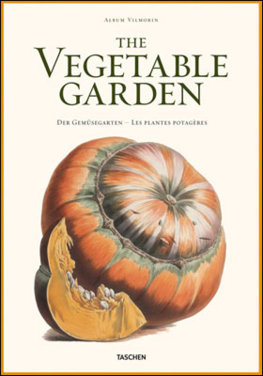 Vegetable Garden Vilmorin xl