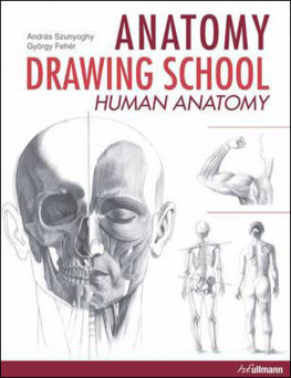 Anatomy Drawing School 1 Human