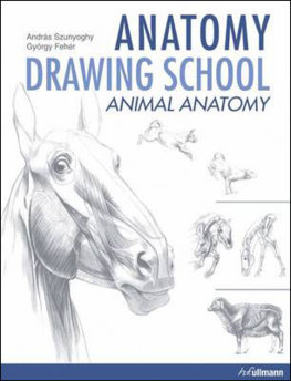 Anatomy Drawing School 2 animals