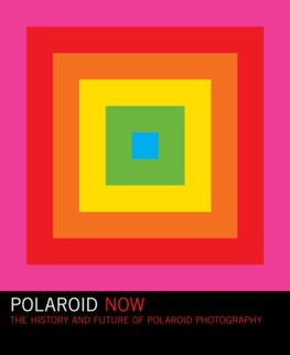 Polaroid Now