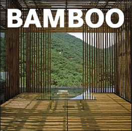 Bamboo